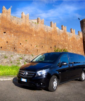 Stefano's RomeCabs Italy Private Excursions Civitavecchia Rome Tours