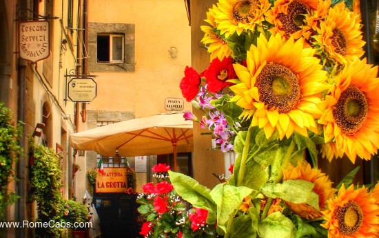 Cortona and Arezzo Tuscany Day Tour from Rome - Cortona Sunflowers