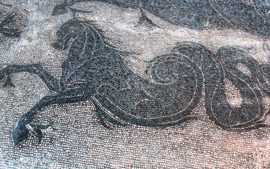 Day Trips from Rome to Ostia Antica  and Cerveteri tours -  Ancient Roman mosaics