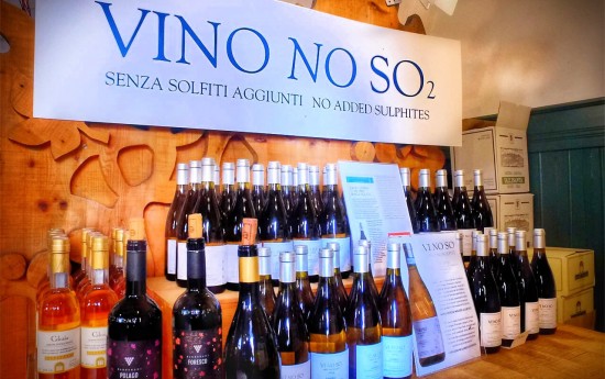 Things to do in Orvieto: wine tastings