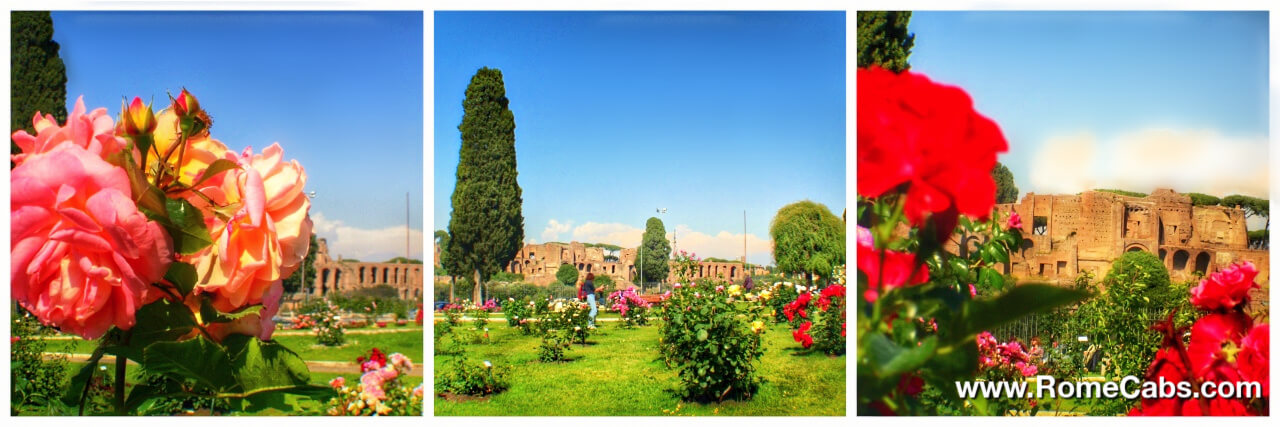 Aventine Hill Rose Garden Rome in Spring Private Tours from Cruise Port RomeCabs