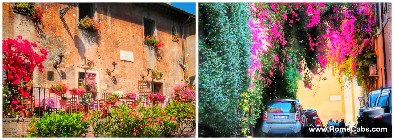 Flowers in Rome in Spring Day Tours from Civitavecchia Private Excursions in Italy