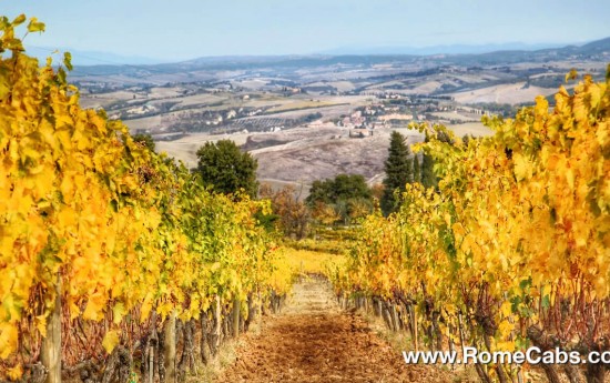 Montalcino vineyards in Tuscany wine tasting tours from Rome