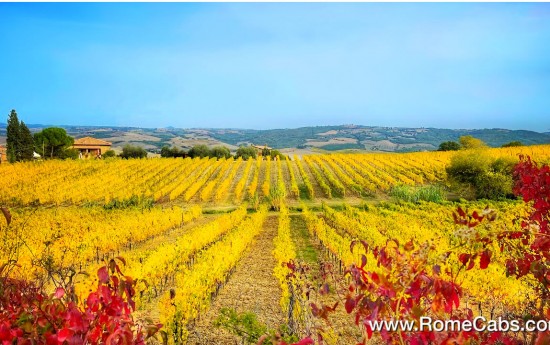 Montalcino vineyards in Tuscany wine tasting tours from Rome in limousine