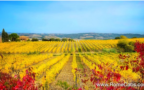 Brunello di Montalcino Tuscany Wine Tour from Rome Cabs