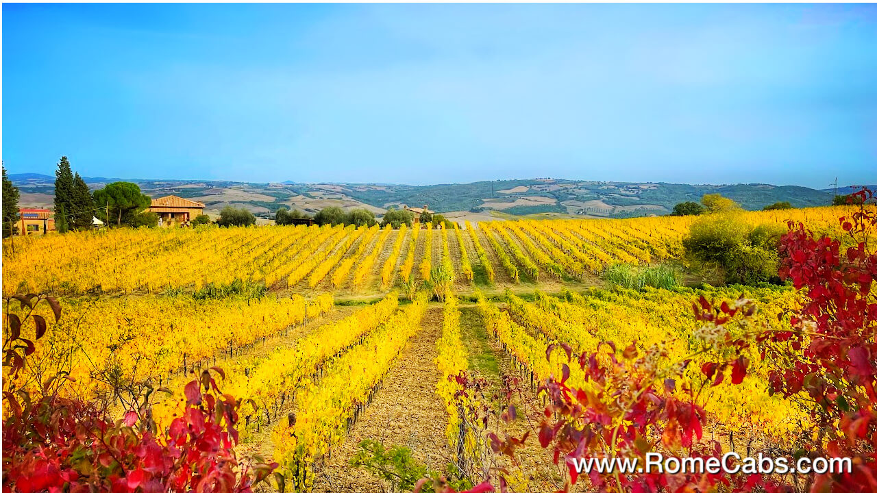 Montalcino vineyards in Tuscany Tours_Valley of Paradise Tuscany Tour from Rome in limo RomeCabs