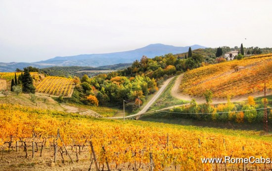 Montalcino vineyards in Tuscany wine tasting tours from Rome