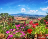 When is it the best time of the year to visit Tuscany?