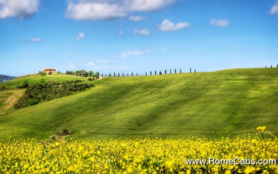 Val d'Orcia (Valley of Orcia) -  Valley of Paradise Tuscany Tours in spring