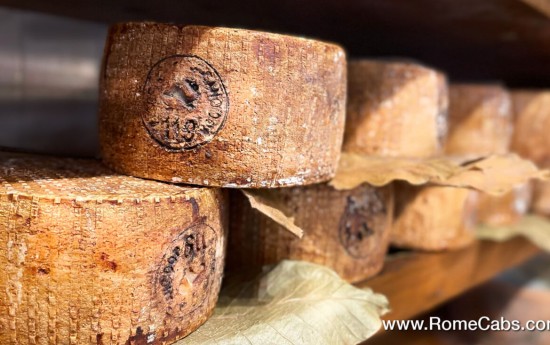 Pecorino di Pienza cheese tasting tours from Rome