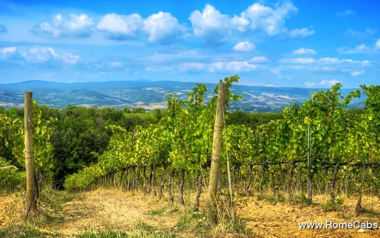Wine tasting tours from Civitavecchia to Umbria