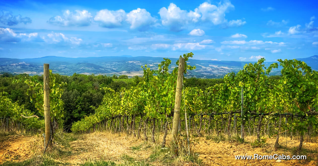 Orvieto wine tasting tour from Civitavecchia