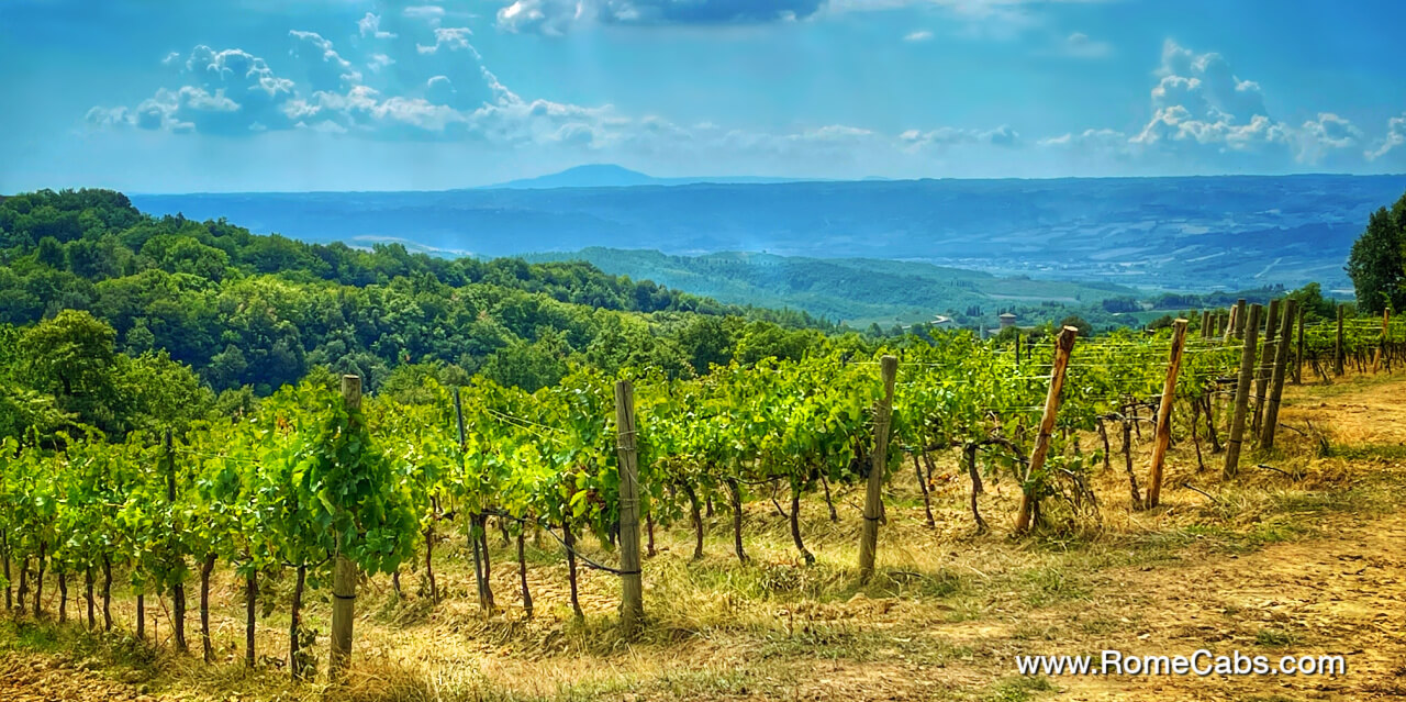 Umbria Wine Tasting Tours from Civitavecchia post cruise tours to Rome Cabs