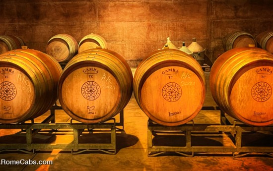 Umbria Winery Cellar Tours from Civitavecchia