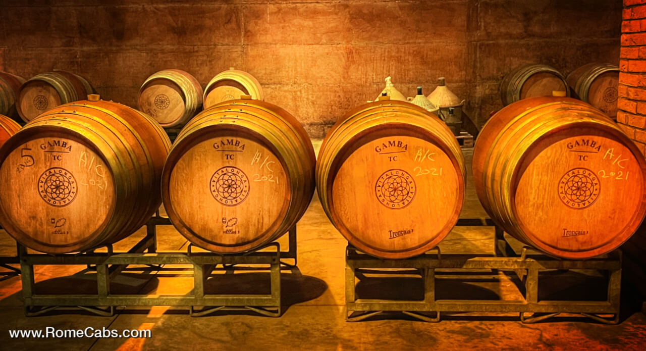 Orvieto Wine Tasting Tour  from Civitavecchia with RomeCabs
