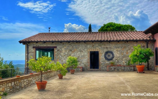 Umbria winery tours from Civitavecchia post cruise