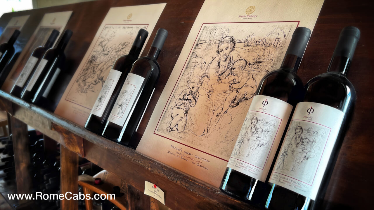 Wine tasting tour from Rome to Orvieto vineyard winery tours RomeCabs