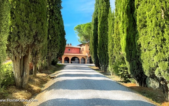 Tuscany wine tasting tours from Rome to Tuscany wineries