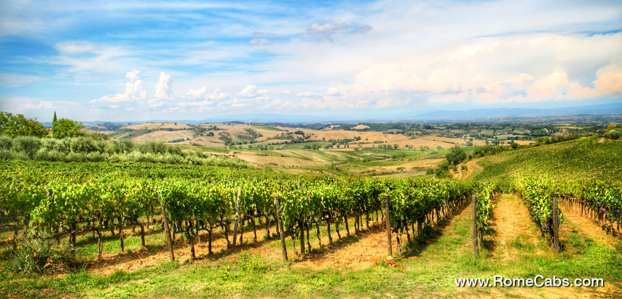 A Taste of Tuscany Wine Cheese and Olive Oil tasting from Rome Cabs