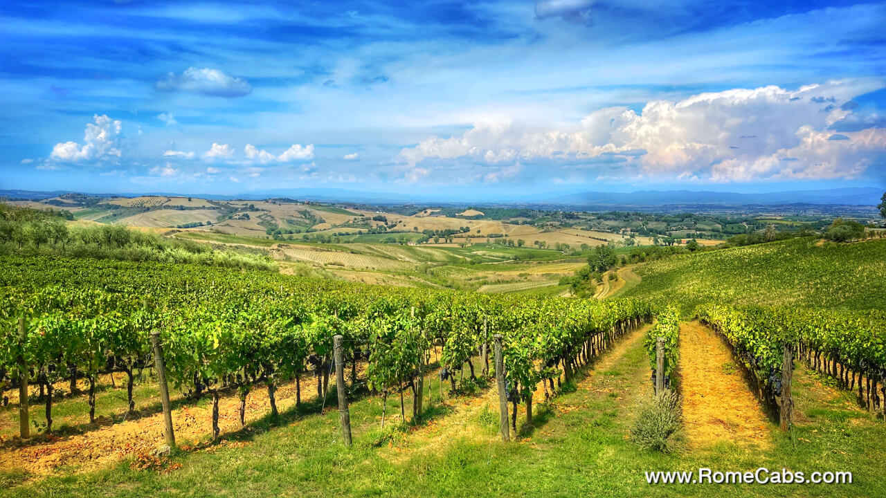 Best Wine Tasting Tours from Rome to Tuscany Luxury Tours from RomeCabs