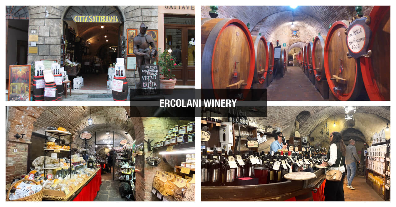 Ercolani Winery Best Montepulciano wineries wine tours from Rome