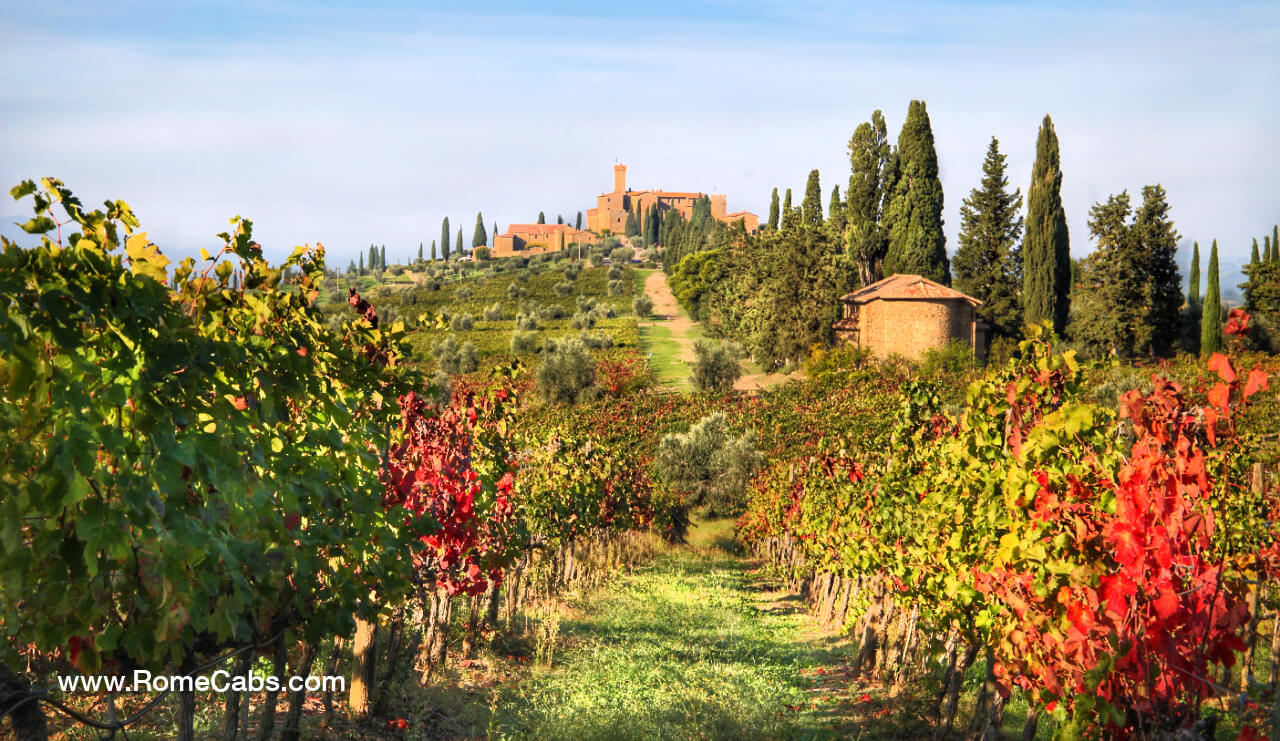 Castello Banfi Wine Tasting Tuscany Tours from Rome Cabs RomeCabs