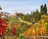 Best Wine Tours from Rome to Tuscany