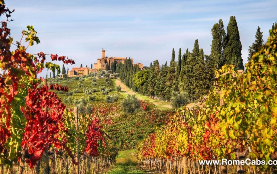 Castello Banfi Tuscany Castle Wine Tour from Rome