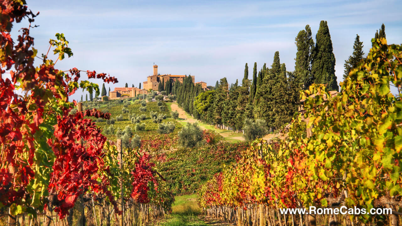 Tuscany Wine Tasting Tours from Rome