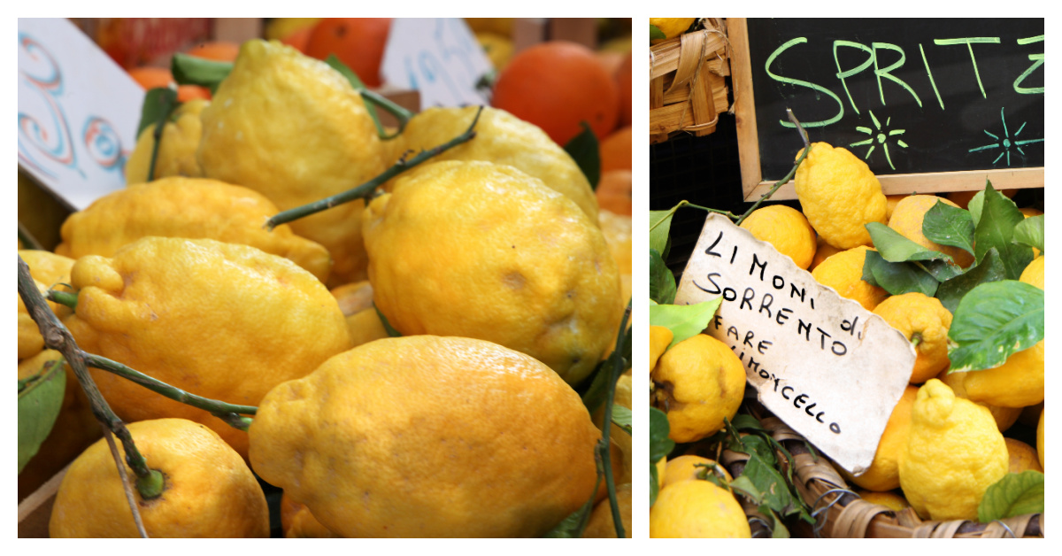Types of Lemons to make Limoncello Sorrento Tours from Rome