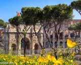 History and Facts of Arch of Constantine in Rome: A Triumph Carved in Stone